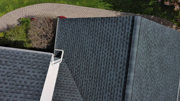 Best Roof Moss and Algae Removal  in Milton, WI